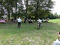 img 209